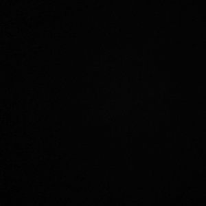 Meet your Posher, Kodey